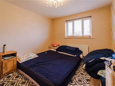 Picture 14